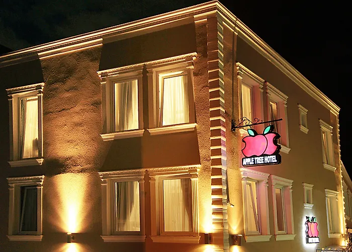 Apple Tree Hotel Provincia di Provincia di Istanbul