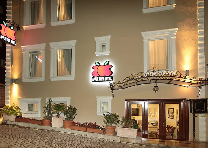Apple Tree Hotel Provincia di Provincia di Istanbul