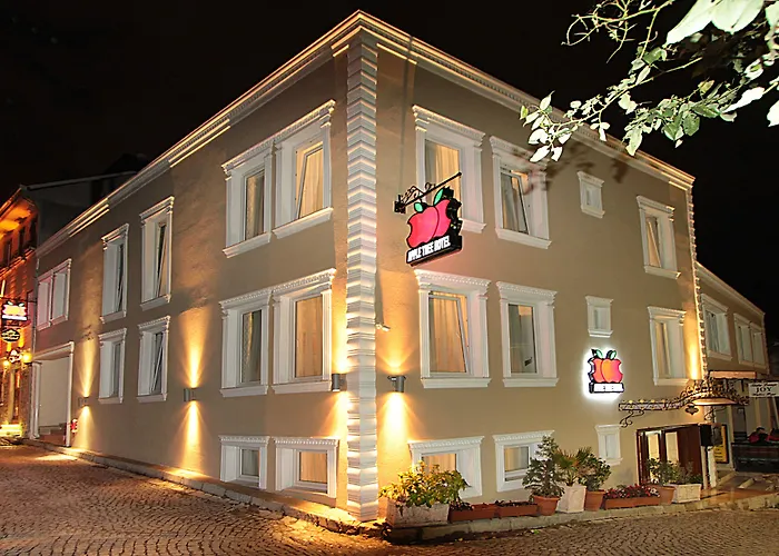 Apple Tree Hotel Provincia di Provincia di Istanbul