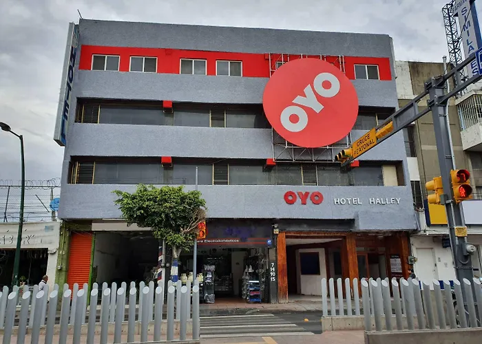 Oyo Halley León