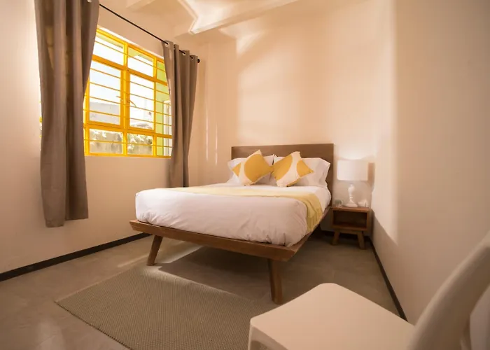 Cactus Hostel & Suites Guanajuato