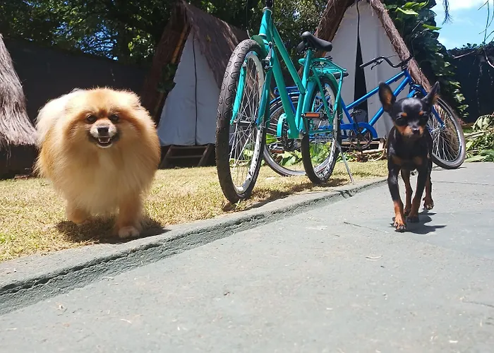 Tropical Casa Ubatuba Hotel