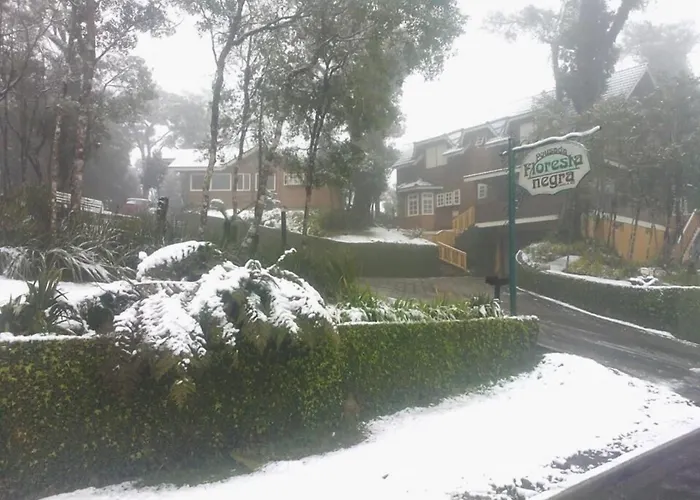 Pousada Floresta Negra Canela