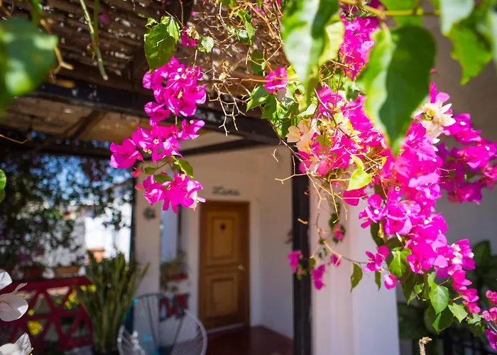 El Diablo y la Sandia Oaxaca