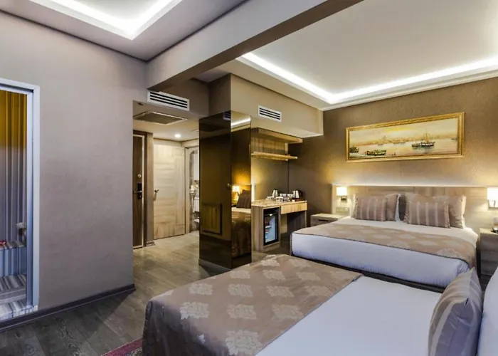 Ayramin Deluxe Hotel Taksim Provincia di Provincia di Istanbul