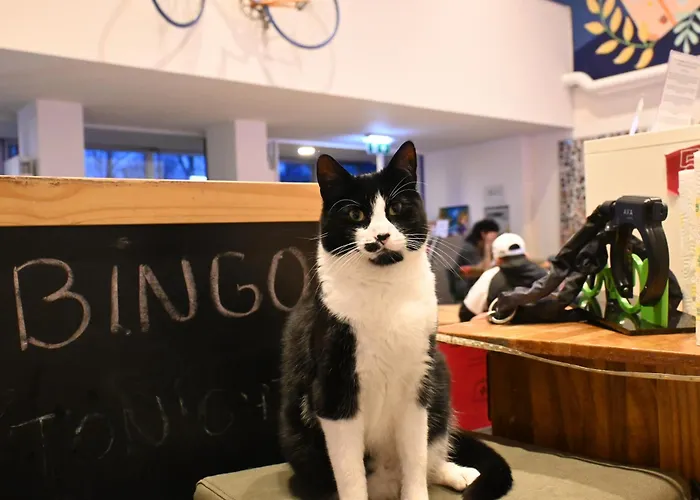 Dutchies Hostel Ámsterdam