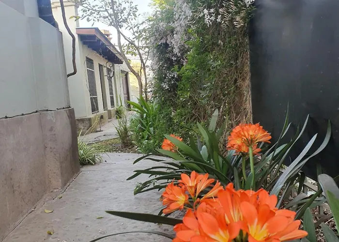 Los Tarcos Guest House San Salvador de Jujuy