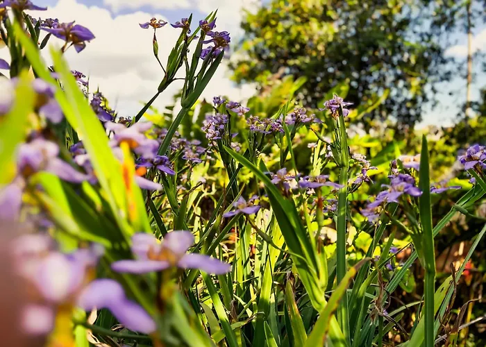Pousada Travessias Tiradentes