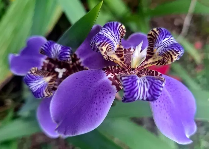 Sossego do Perequê Hotel Ubatuba