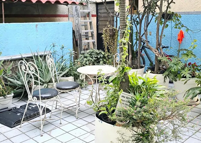 El Pino - Hotel Economico Guadalajara
