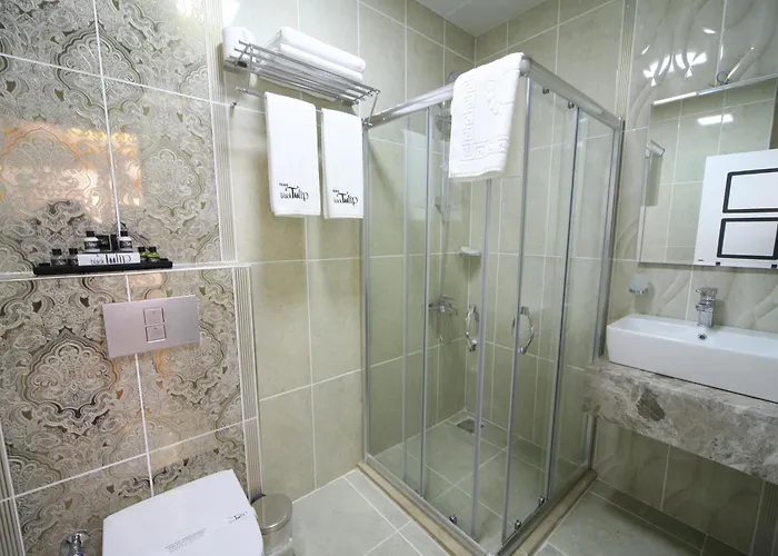 Weingart Black Tulip Hotel Provincia di Istanbul