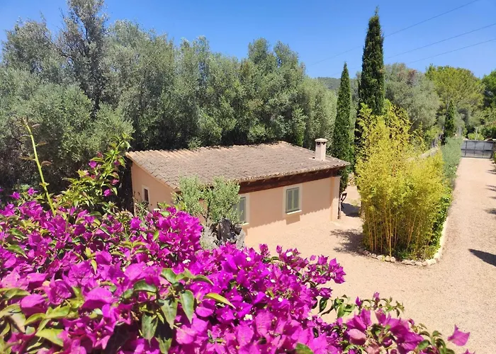 Agroturismo Son Bauzanet Palma de Mallorca