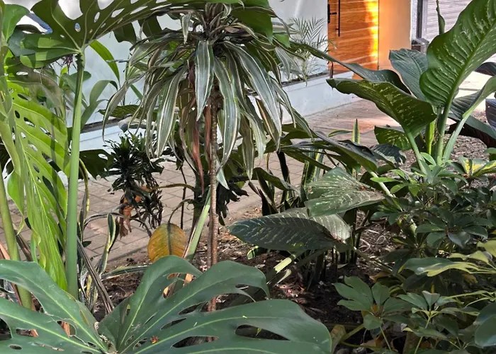 Primavera Hotel Medellín
