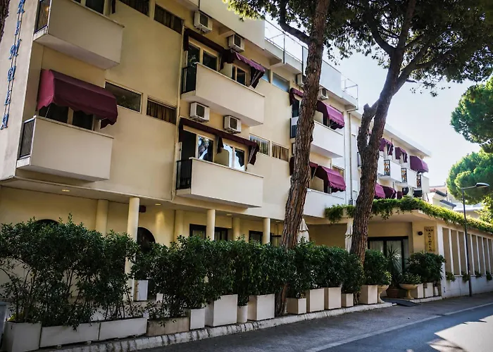 Hotel New Primula Rimini