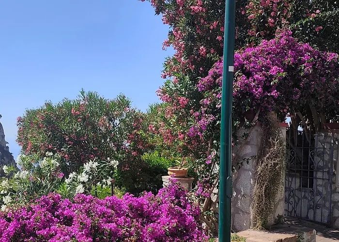 Hotel 4 Stagioni Capri