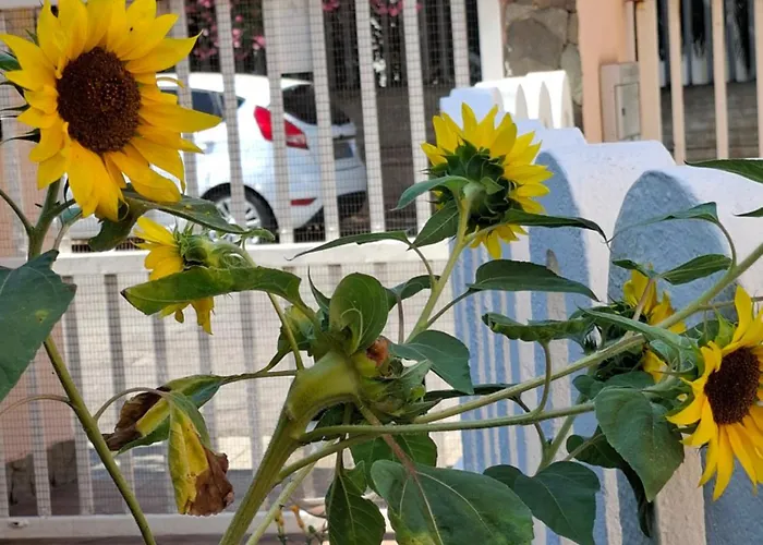B&B Lety Alghero