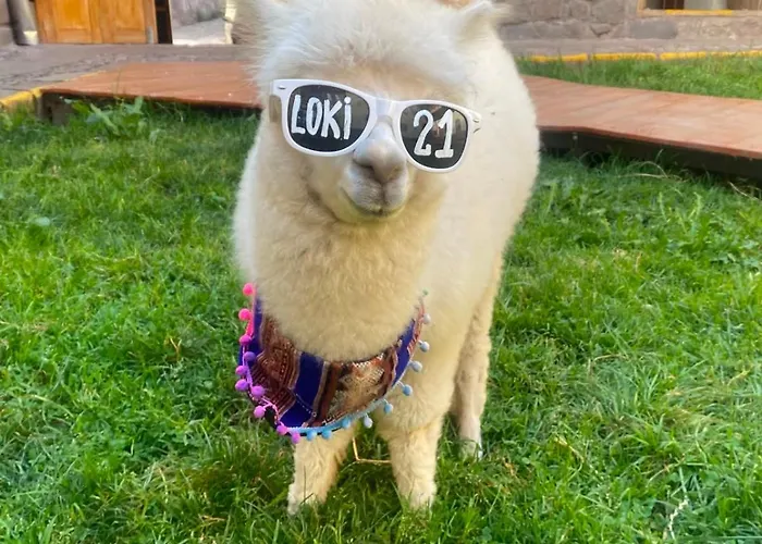 A Pousada Loki Cusco