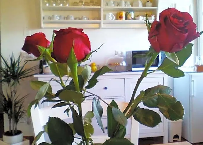Dimora San Lazzaro B&B Lucca