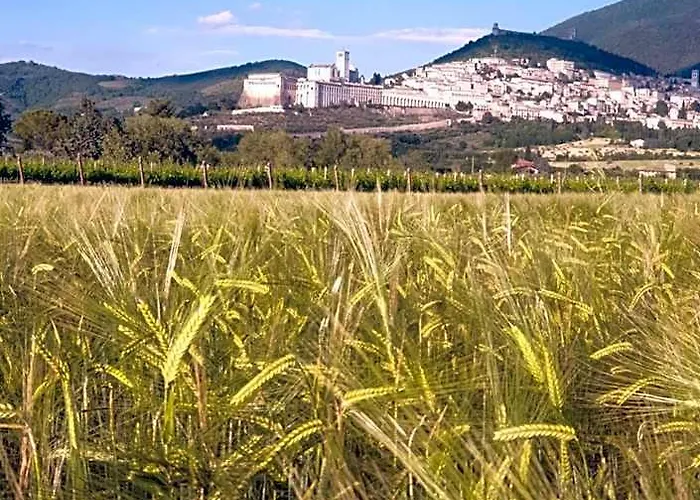 B&B Domus Benedicta Assisi