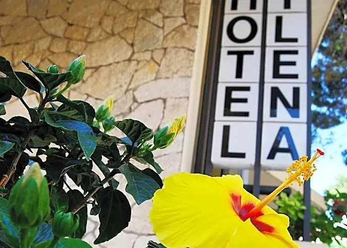 Hotel Milena Rimini