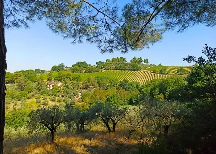 Affittacamere Casale Favilluta Assisi