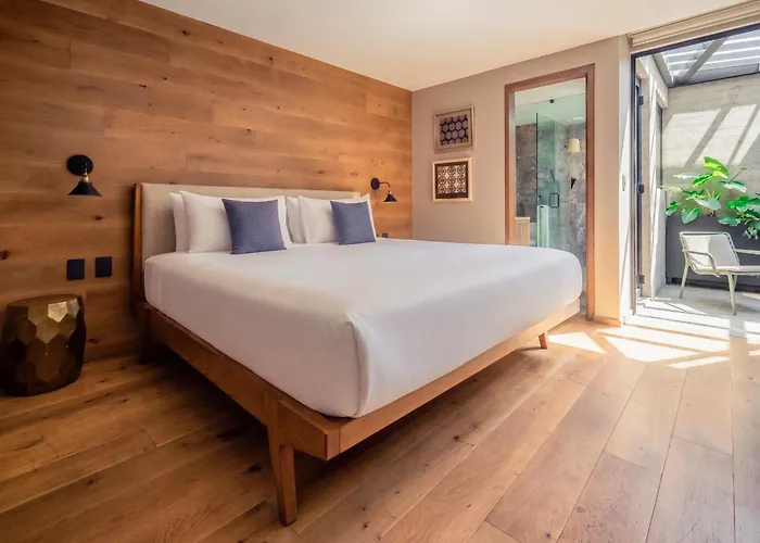 Hotel Frida by Viadora México DF
