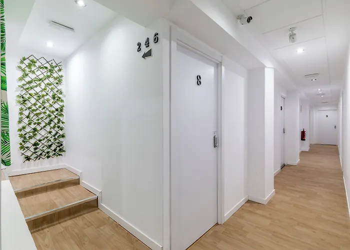Loop America (Adults Only) Madrid