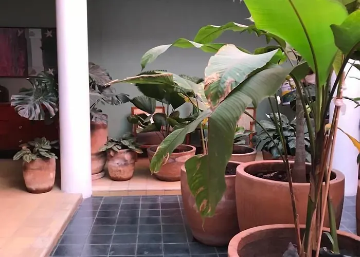 Aparthotel Mesón San Felipe Guadalajara