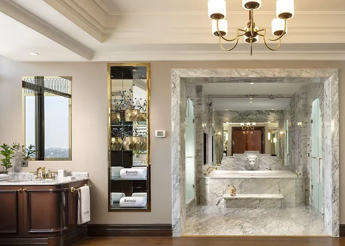 Hotel Barcelo Provincia di Istanbul