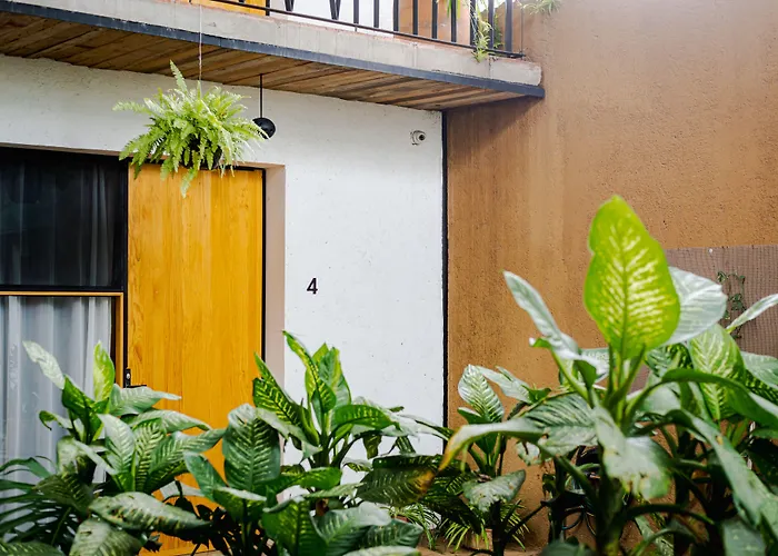 Hotel con Corazón Oaxaca