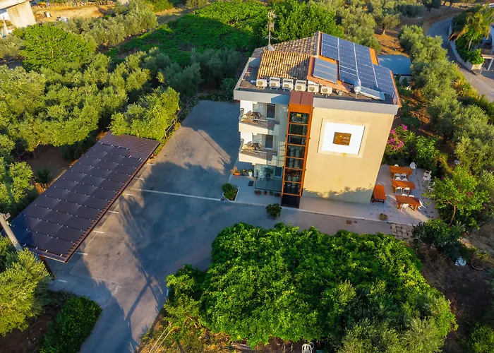 Il Gallo Con Gli Stivali Termoli