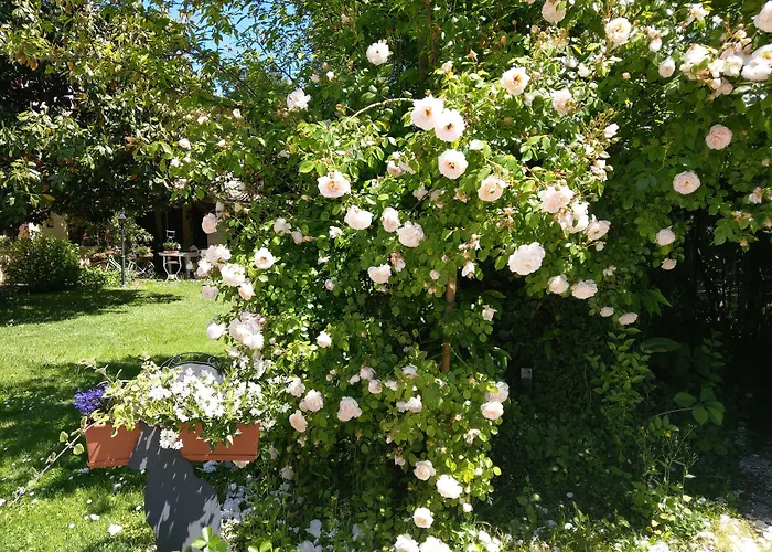 B&B Casa Camilla Padova