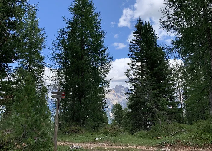 Hotel Serena Cortina Cortina dʼAmpezzo
