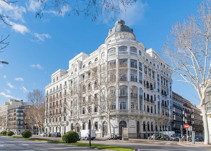 Petit Palace Savoy Alfonso XII Madri