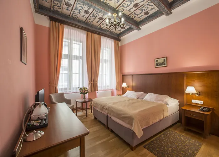 Hotel Cerny Slon Praga