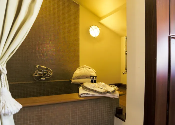 Hotel Bucintoro Venecia