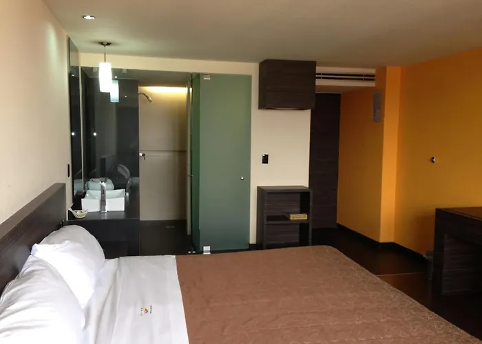 Hotel Amazonas México DF
