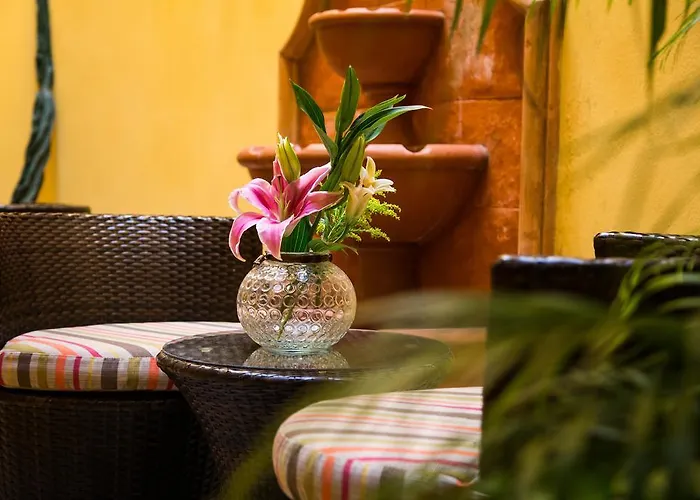 Hotel La Galeria By Bunik Playa del Carmen