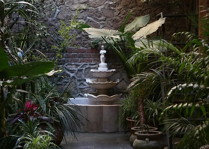 El Patio 77 B&B México DF