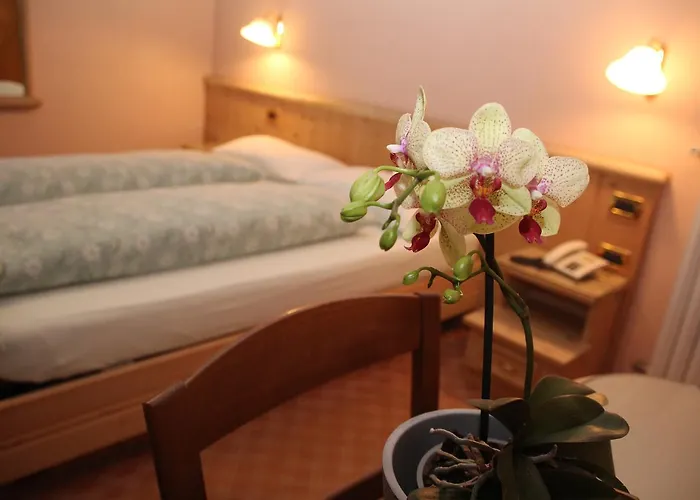Albergo Caravasc Livigno