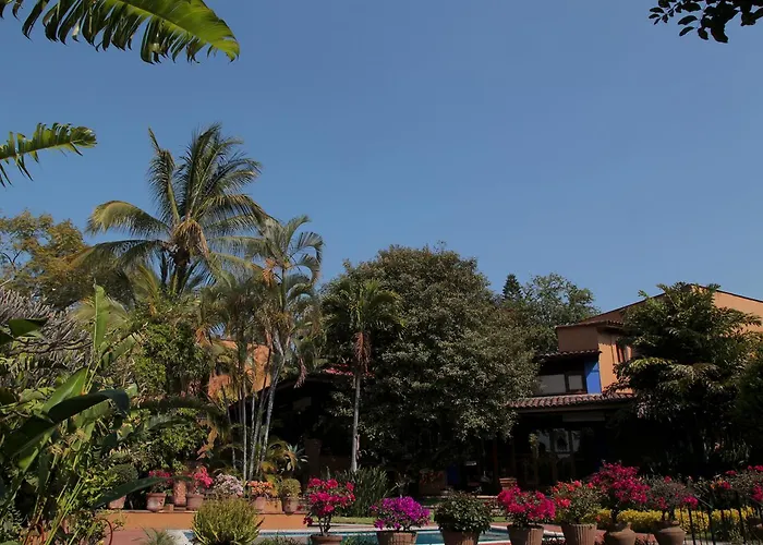 Orchidelirium Casa Hotel&Salud Estética Cuernavaca