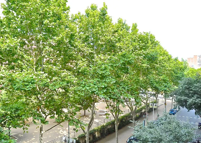 Auditori Barcellona