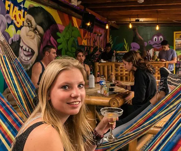 Purple Monkey Hostel Medellín