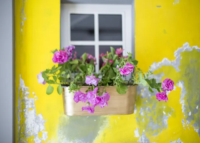 Hotel Miss Sophie'S New Town & Wellness Praga