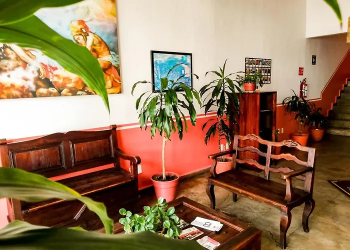 Hostal De La Niebla Xalapa