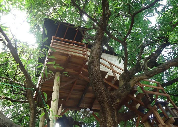 Casa na Árvore Salvador