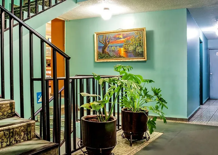 Hotel Emily León