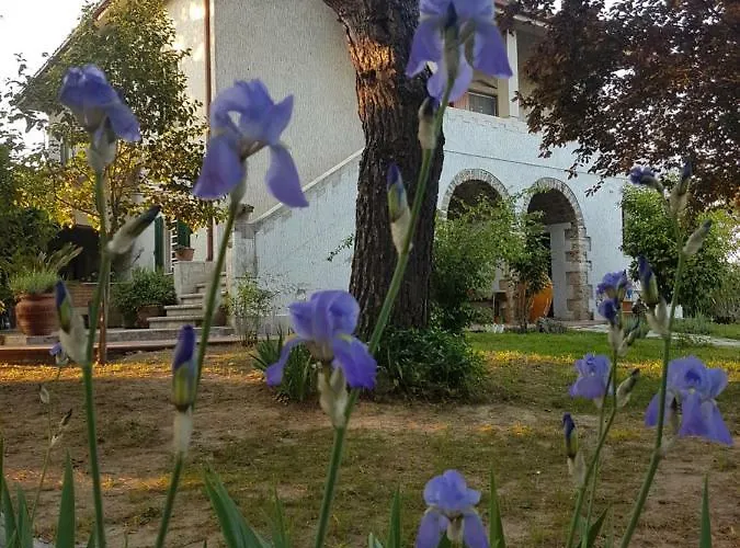 MeraVilla Ascoli Piceno