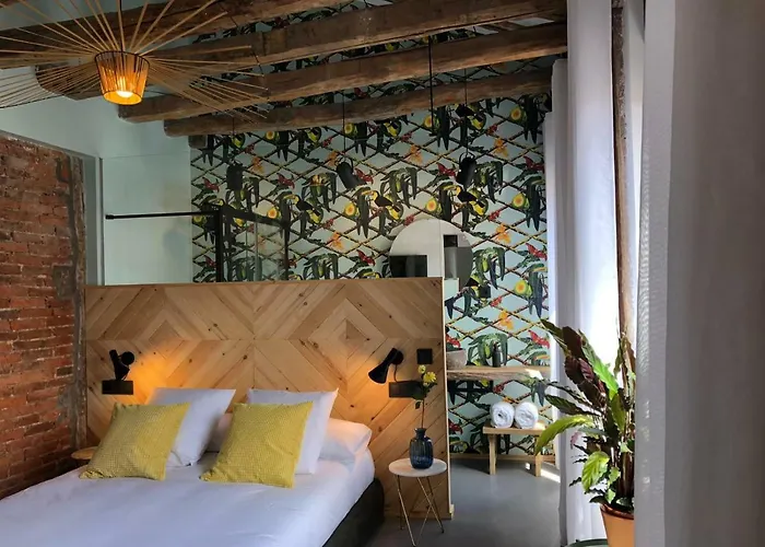 13 Suites León