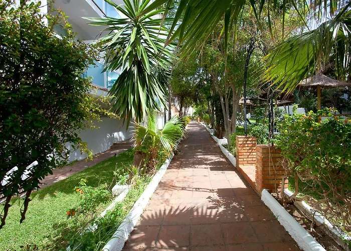 Hotel Palia Las Palomas Torremolinos